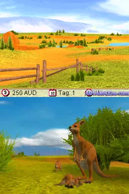 Image n° 3 - screenshots : Meine Tierarztpraxis in Australien